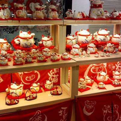 cua-hang-meo-than-tai-3