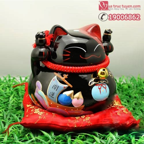 meo-than-tai-khai-van-mau-den-sw245-2