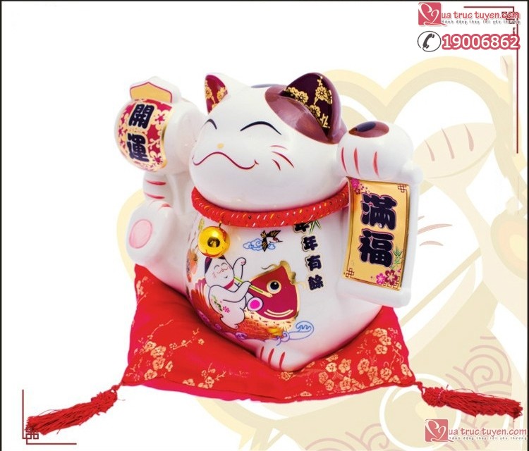 meo-than-tai-nien-nien-huu-du-12054-5