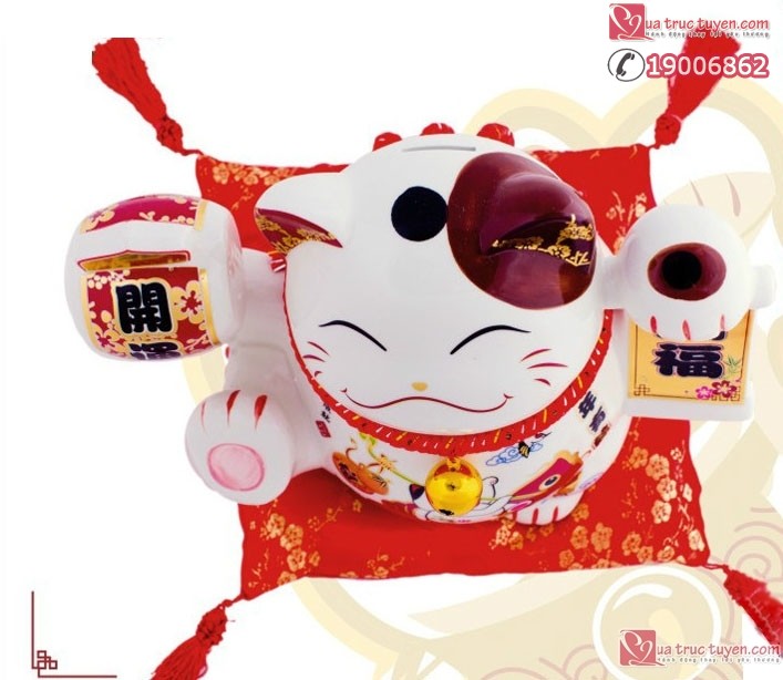 meo-than-tai-nien-nien-huu-du-12054-6
