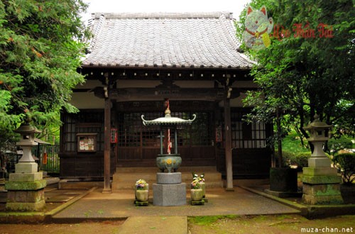y-nghia-meo-than-tai-1