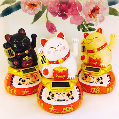 meo-than-tai-daruma