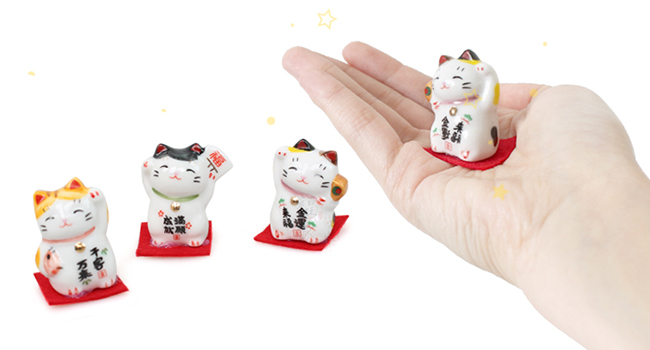 Mèo thần tài tí hon