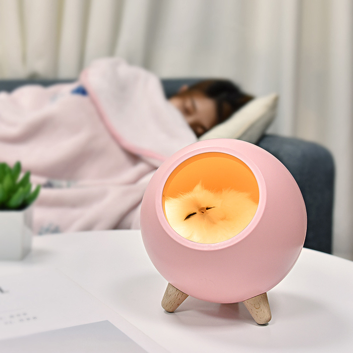 tổ ấm của mèo con
