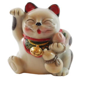 hình ảnh của Maroki neko với quả bầu