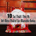 Maneki Neko - 10 sự thật thú vị về Mèo Thần Tài bạn nên biết! meo_than_tai_do_kim_van_chieu_tai_2_