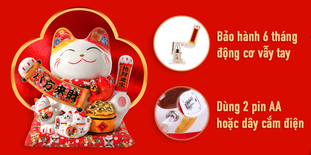 bao-hanh-meo-than-tai