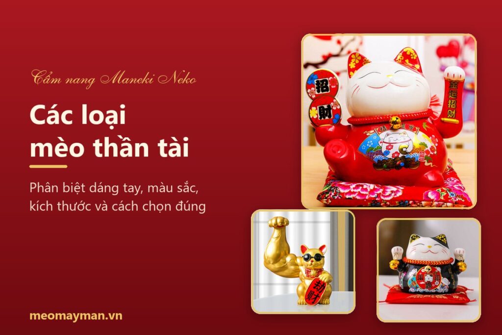 Các loại mèo thần tài phổ biến - Meomayman.vn