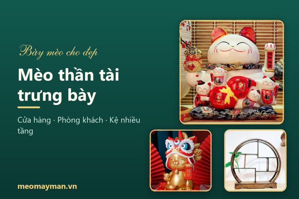 Mèo thần tài trưng bày: cách bày đẹp cho cửa hàng, phòng khách và kệ nhiều tầng