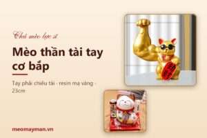 Mèo thần tài tay cơ bắp: ý nghĩa, đặc điểm và cách đặt chú mèo "lực sĩ"