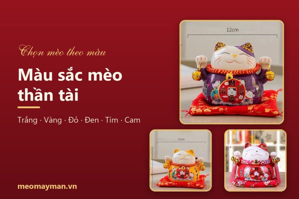 Màu sắc mèo thần tài: ý nghĩa từng màu và cách chọn hợp mệnh, hợp dịp