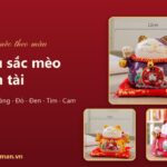 Màu sắc mèo thần tài: ý nghĩa từng màu và cách chọn hợp mệnh, hợp dịp