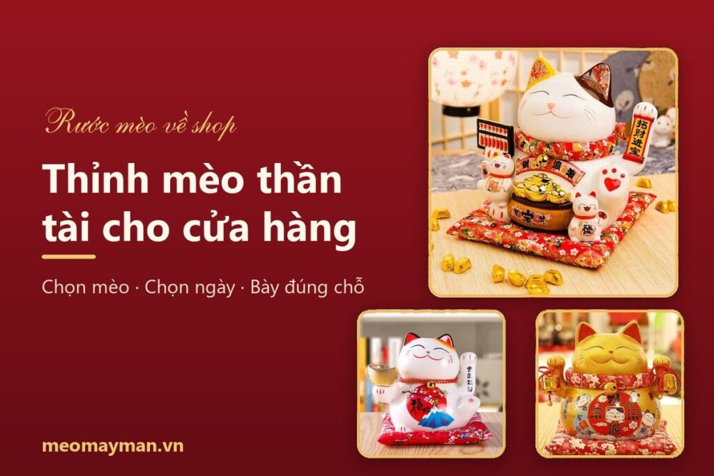 Thỉnh mèo thần tài cho cửa hàng: chọn ngày, cách bày và có cần cúng không?