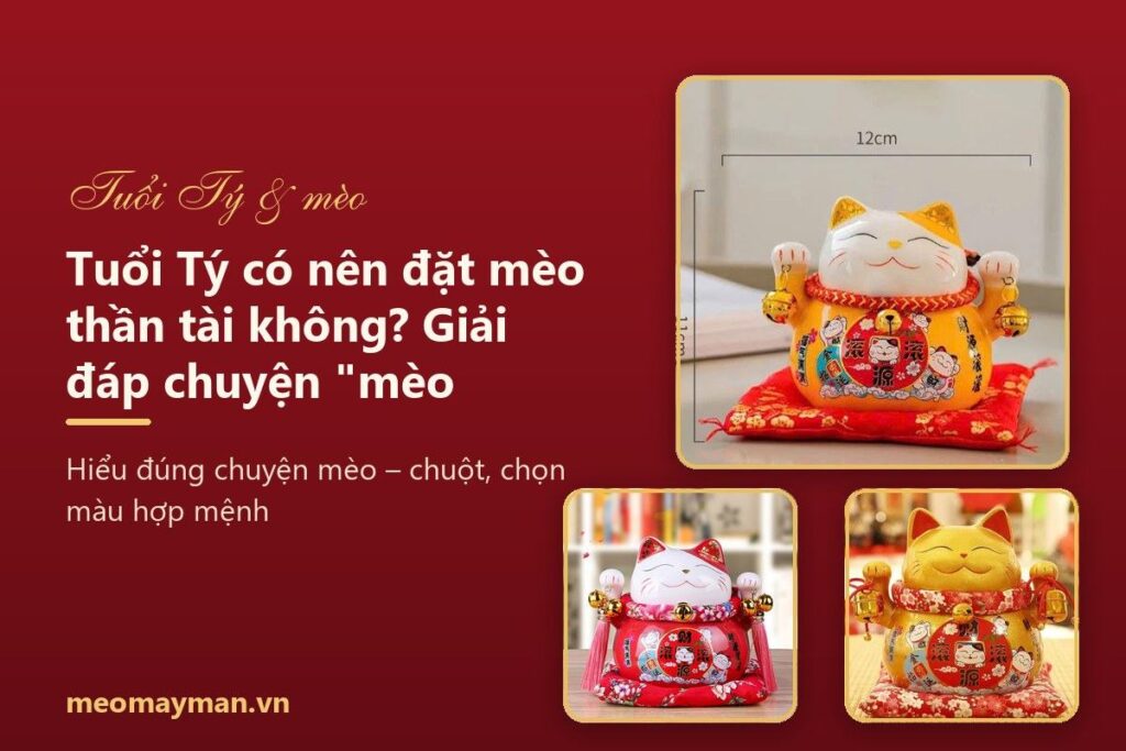 Tuổi Tý có nên đặt mèo thần tài không? Giải đáp chuyện "mèo – chuột" và cách chọn