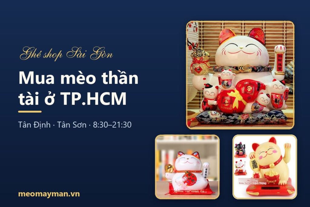 Mua mèo thần tài ở TP.HCM: 2 cửa hàng Meomayman Tân Định, Tân Sơn và kinh nghiệm chọn