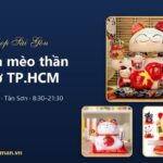 Mua mèo thần tài ở TP.HCM: 2 cửa hàng Meomayman Tân Định, Tân Sơn và kinh nghiệm chọn