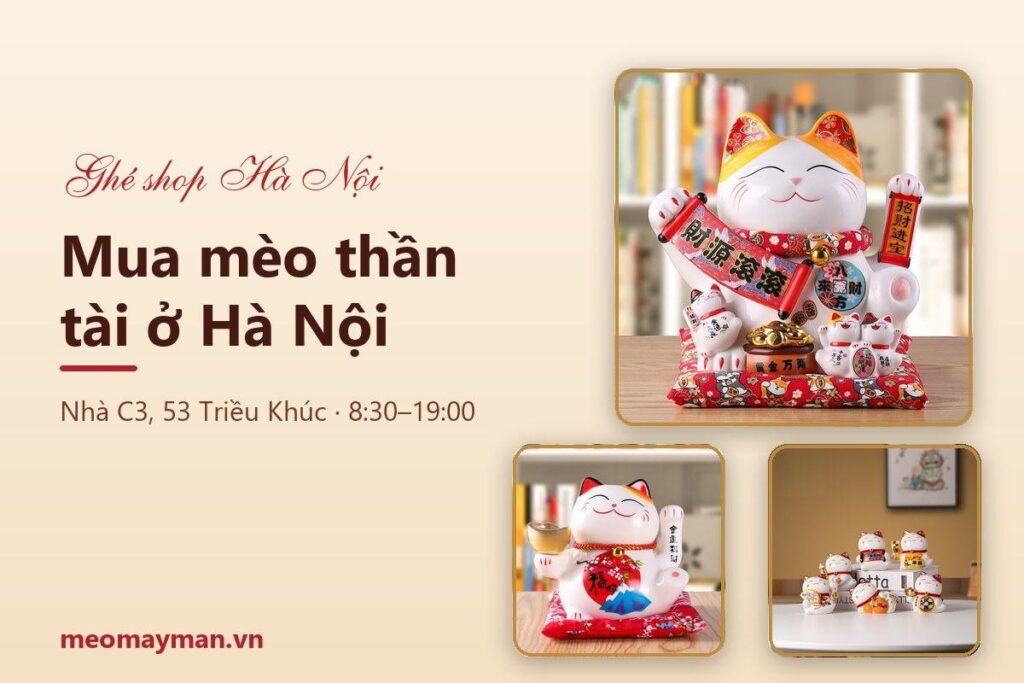 Mua mèo thần tài ở Hà Nội: cửa hàng Meomayman Triều Khúc, giờ mở cửa và kinh nghiệm chọn