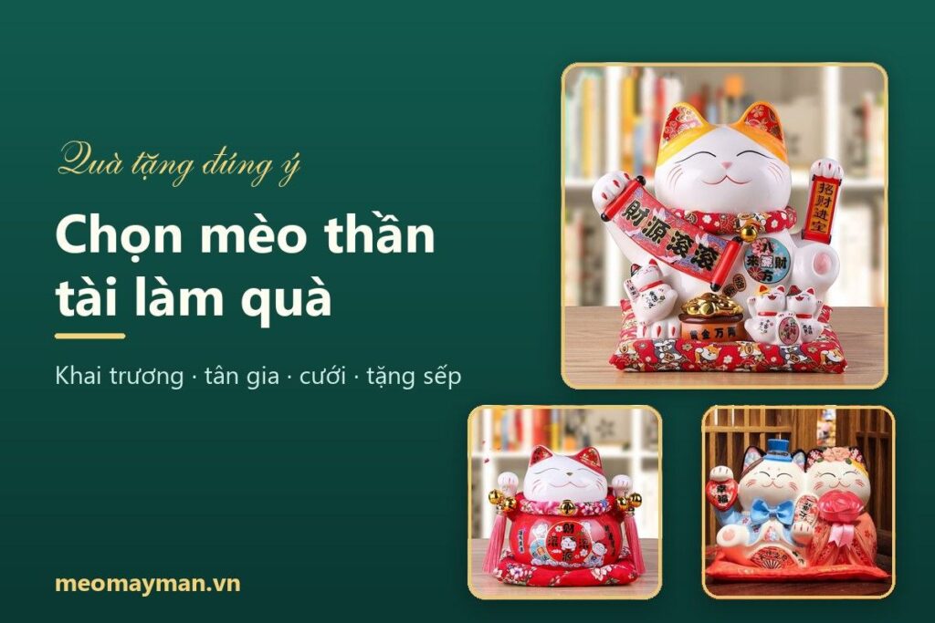 Chọn mèo thần tài làm quà: tặng ai mẫu nào, dịp nào cỡ nào cho đúng ý