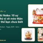Maneki Neko: 10 sự thật thú vị về mèo thần tài có thể bạn chưa biết Maneki Neko: 10 sự thật thú vị về mèo thần tài có thể bạn chưa biết