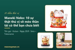 Maneki Neko: 10 sự thật thú vị về mèo thần tài có thể bạn chưa biết