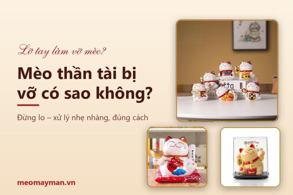 Mèo thần tài bị vỡ có sao không? Quan niệm, cách xử lý và có nên dán lại