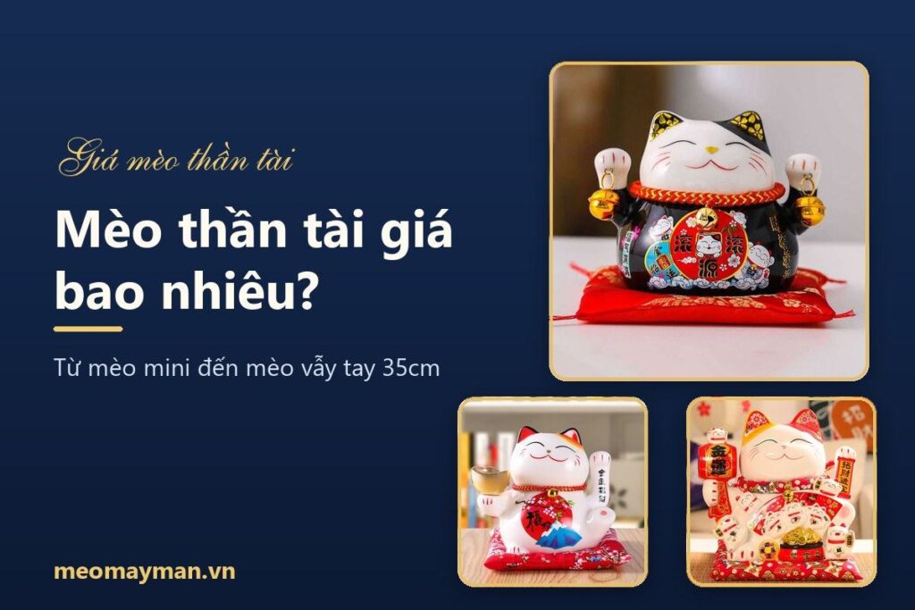 Mèo thần tài giá bao nhiêu? Bảng giá tham khảo theo cỡ và loại