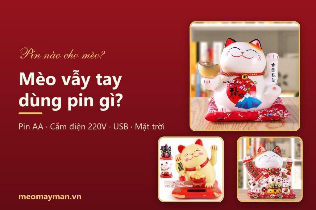 Mèo vẫy tay dùng pin gì? So sánh pin AA, cắm điện, USB và năng lượng mặt trời