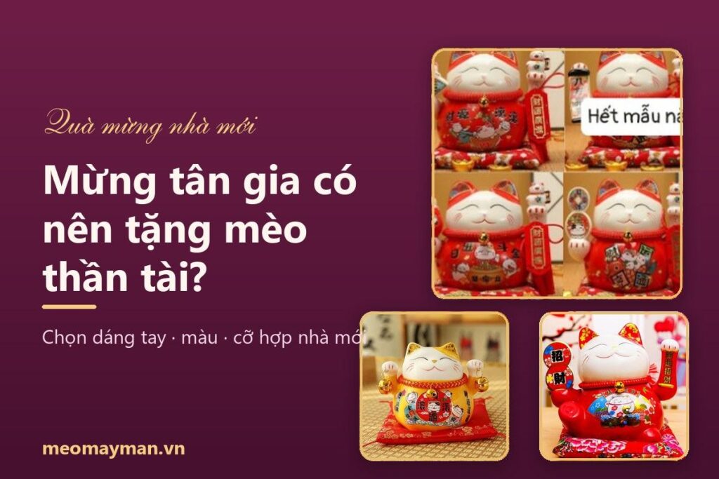 Mừng tân gia có nên tặng mèo thần tài? Cách chọn mẫu, màu, cỡ hợp nhà mới