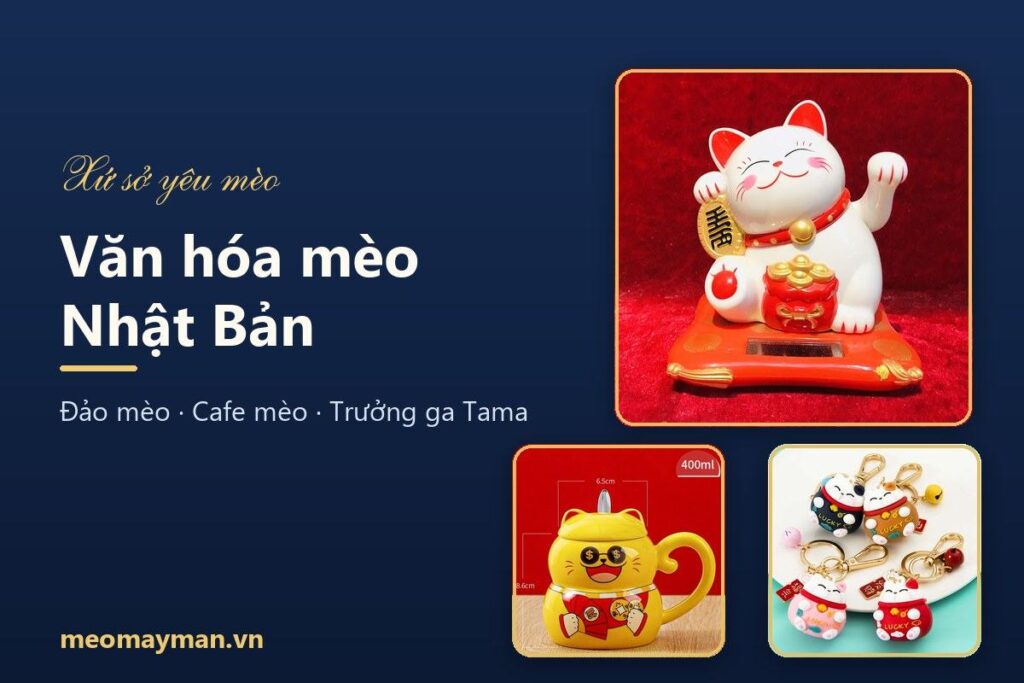 Văn hóa mèo Nhật Bản: vì sao người Nhật yêu mèo đến vậy?