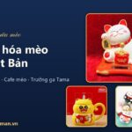 Văn hóa mèo Nhật Bản: vì sao người Nhật yêu mèo đến vậy?