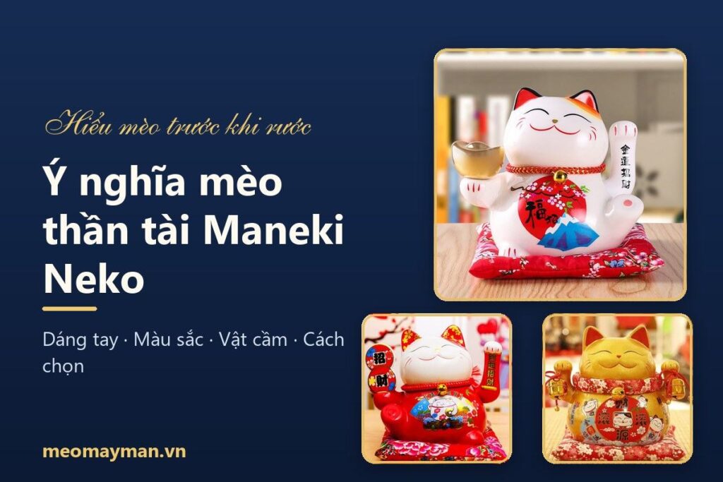 Ý nghĩa mèo thần tài Maneki Neko: tên gọi, dáng tay, màu sắc và vật cầm trên tay